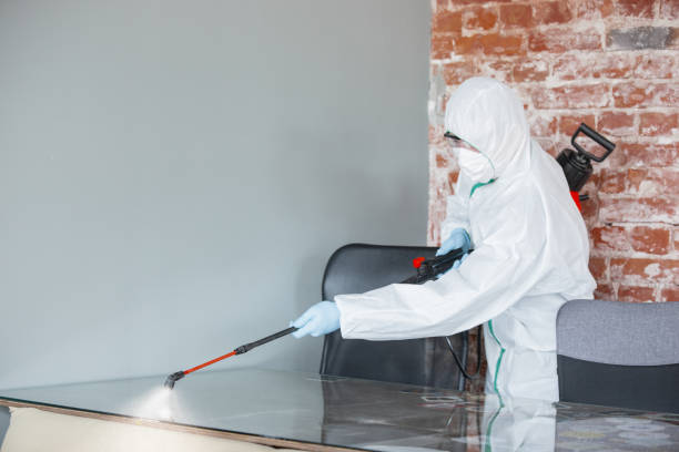 Best Industrial Mold Remediation  in Cvallis, OR